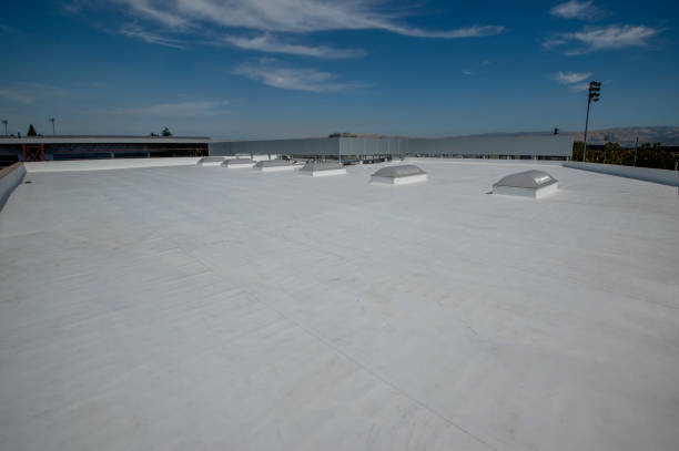 Best Flat Roofing  in Gothenburg, NE