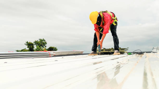 Best Roof Leak Repair  in Gothenburg, NE