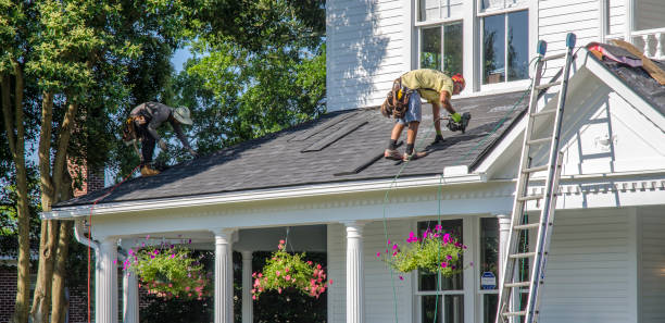 Roof Moss and Algae Removal in Gothenburg, NE